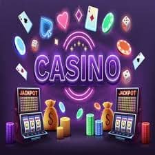 5567 bet app