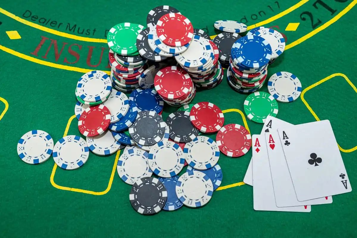 5567 bet app