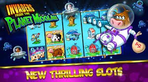 5567 bet app